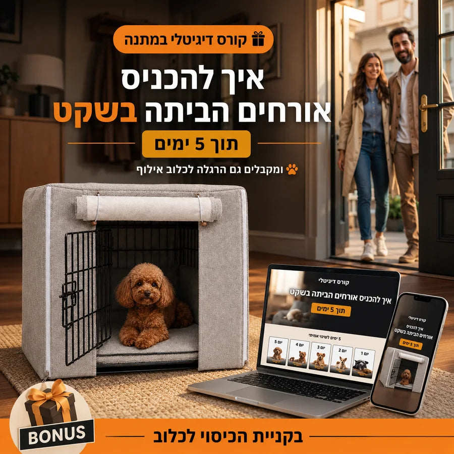קורס דיגיטלי מלא — נשלח למייל מיד לאחר הרכישה