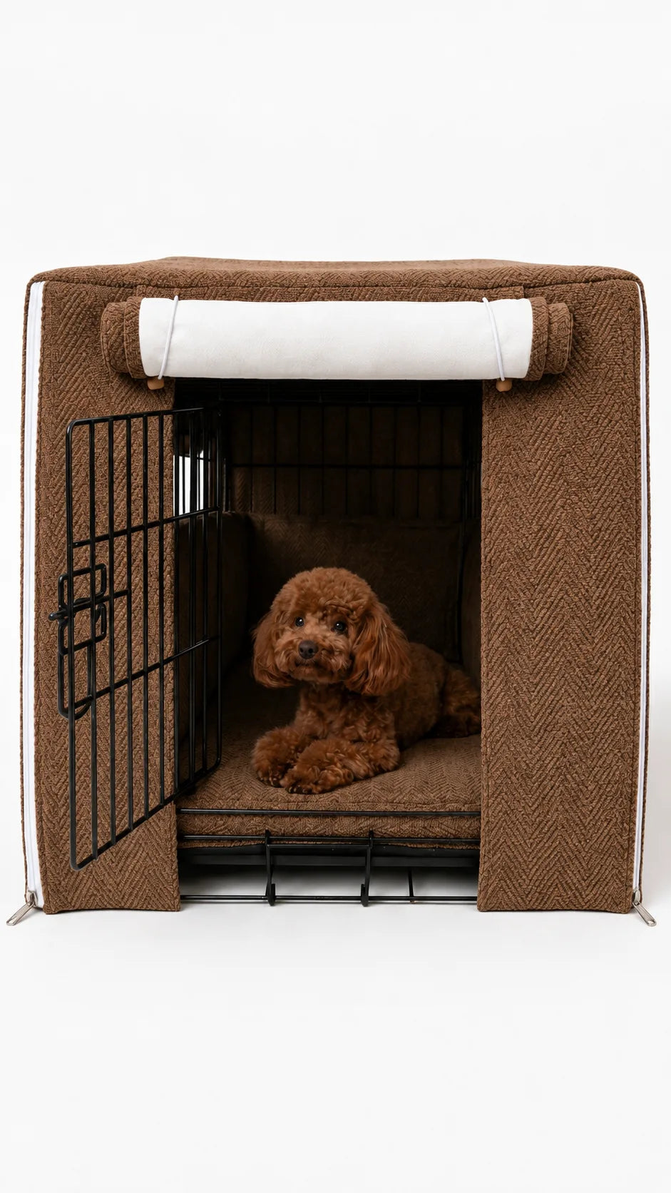 חום ברונזה - הכלב בפנים